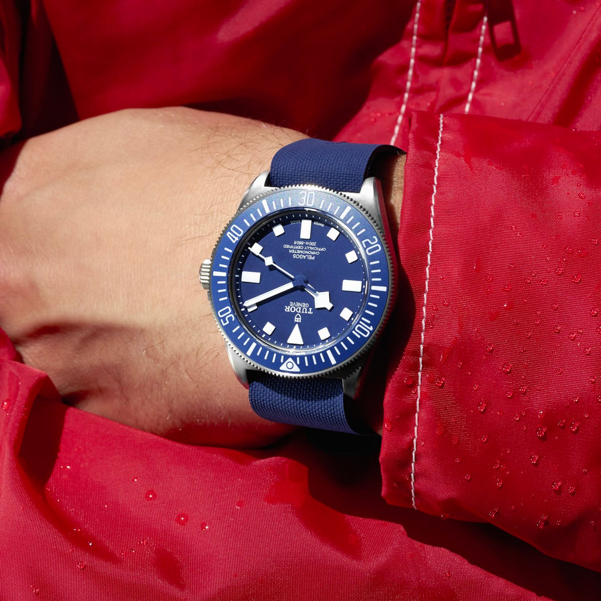 Tudor Pelagos FXD, 42mm, Titanium, Ref# M25707B/24-0001